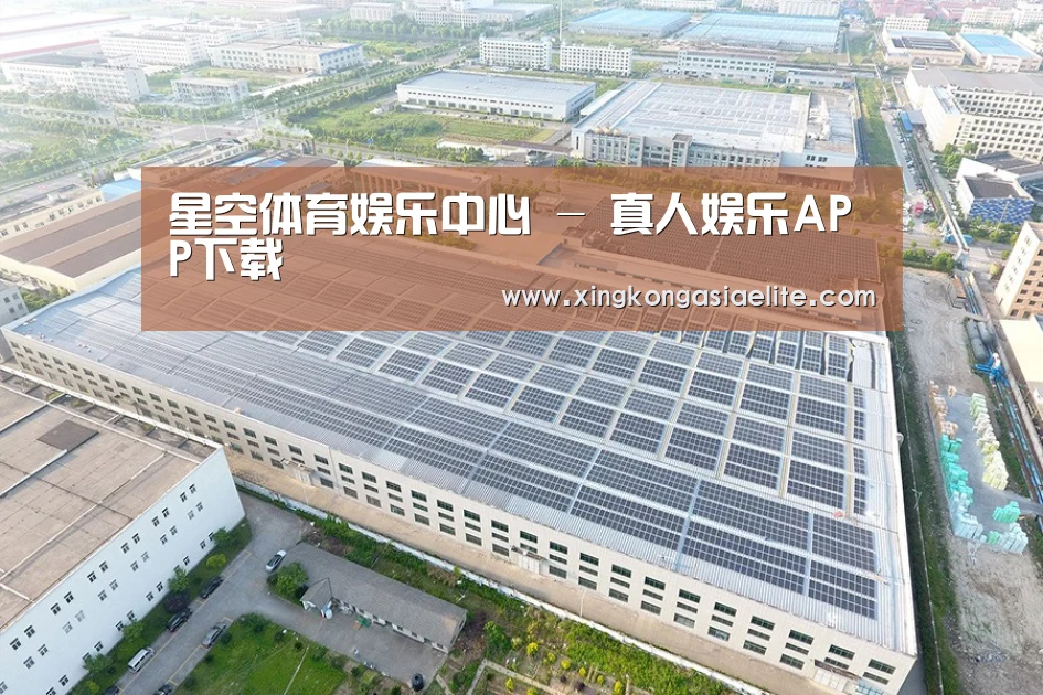 案例展示三