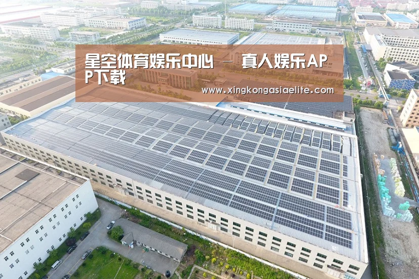 案例展示四
