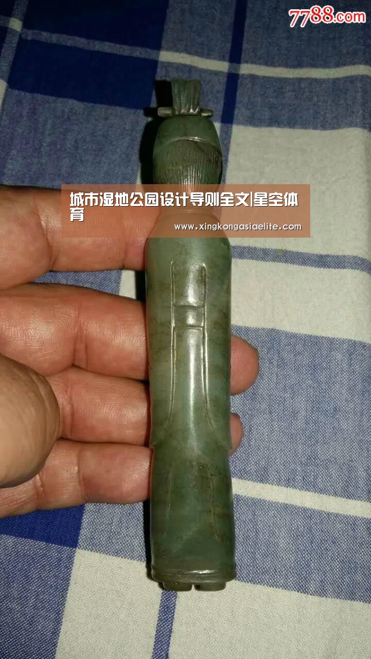 城市湿地公园设计导则全文|星空体育(图1) 星空体育
