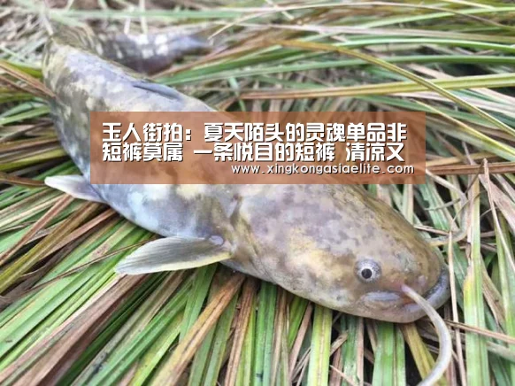 玉人街拍:夏天陌头的灵魂单品非短裤莫属 一条悦目的短裤 清凉又时髦“星空直播”(图9) 星空直播