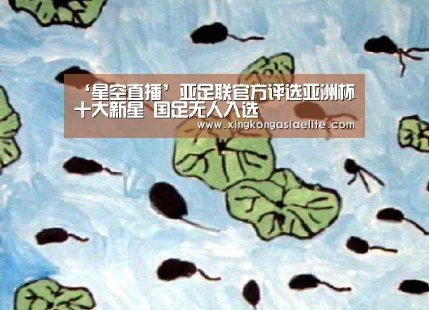 ‘星空直播’亚足联官方评选亚洲杯十大新星 国足无人入选(图3) 星空登录