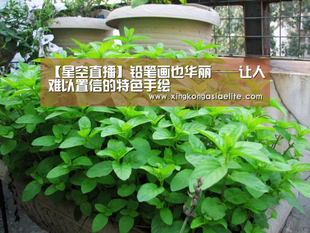 【星空直播】铅笔画也华丽——让人难以置信的特色手绘(图1) 星空体育