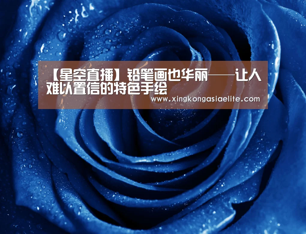 【星空直播】铅笔画也华丽——让人难以置信的特色手绘(图2) 星空直播