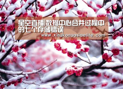 星空直播|数据中心合并过程中的七个存储错误(图2) 星空登录