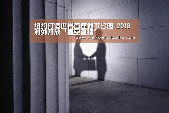纽约打造世界首座地下公园 2018对外开放‘星空直播’(图1) 星空直播